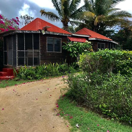 Moringa Ingadi Vila Treasure Beach Exterior foto