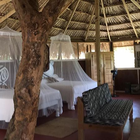 Moringa Ingadi Vila Treasure Beach Exterior foto