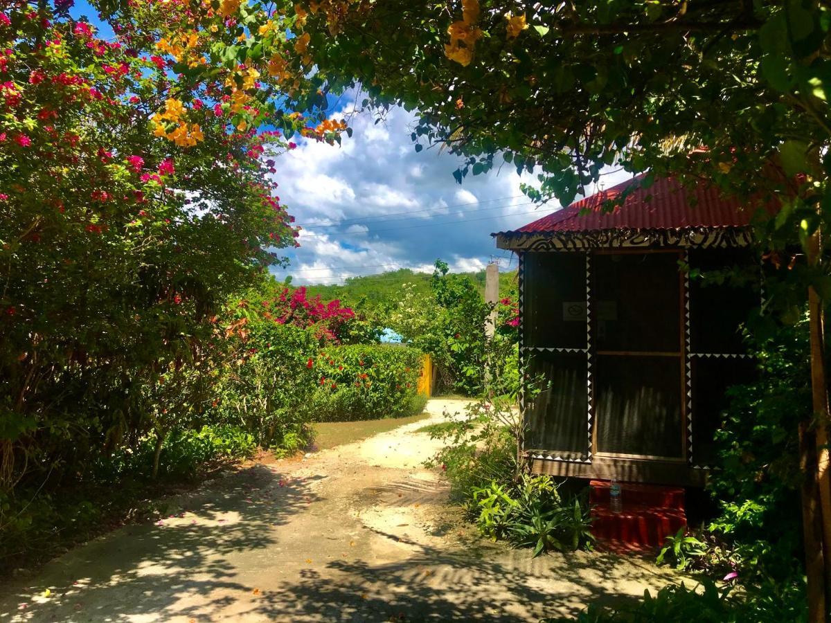 Moringa Ingadi Vila Treasure Beach Exterior foto