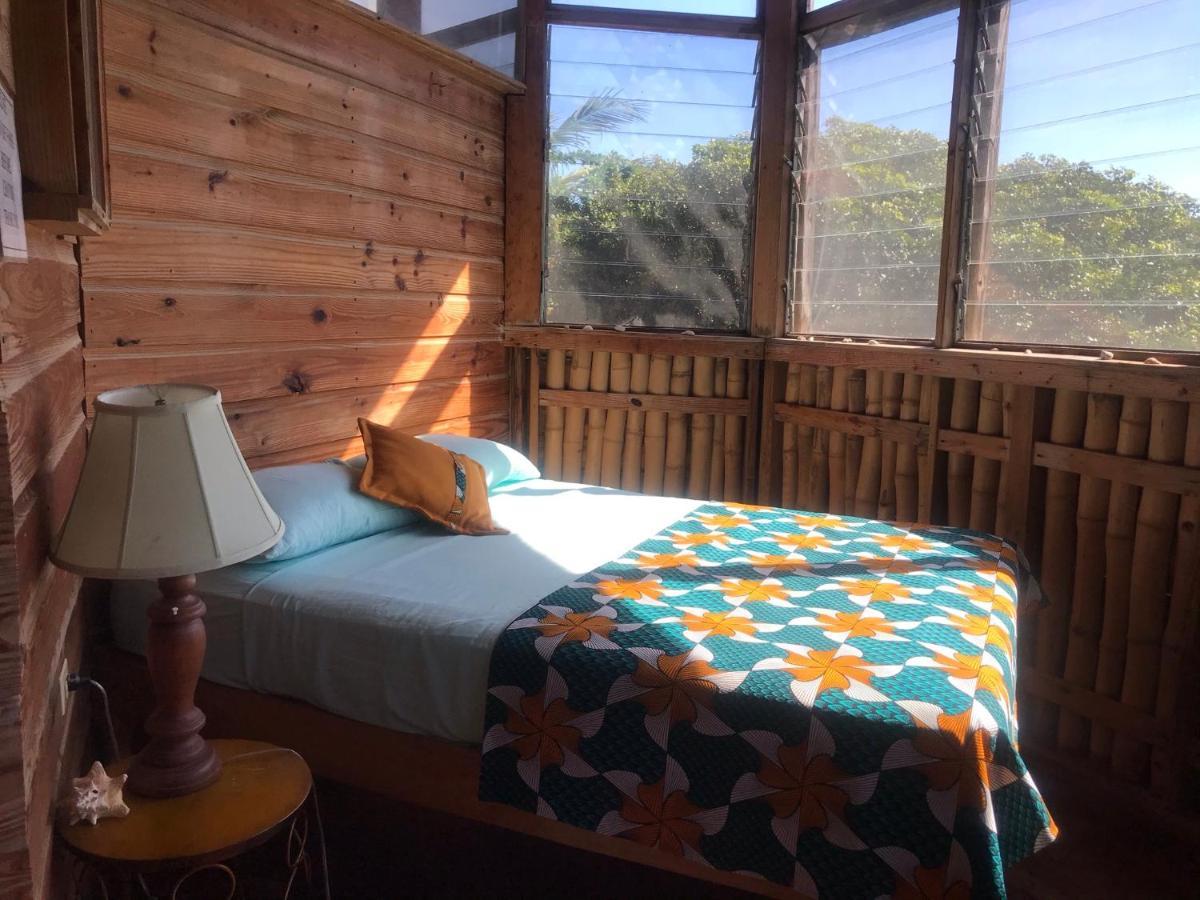 Moringa Ingadi Vila Treasure Beach Exterior foto