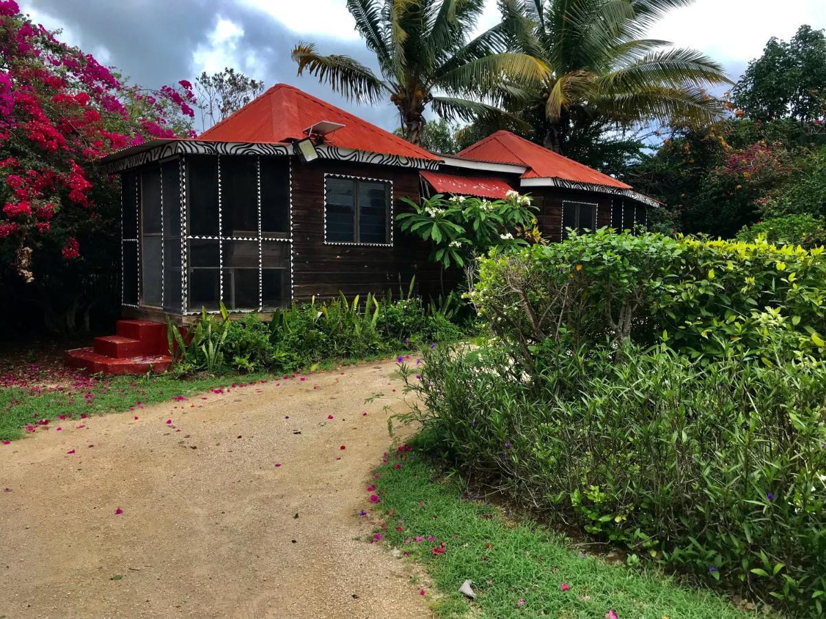 Moringa Ingadi Vila Treasure Beach Exterior foto