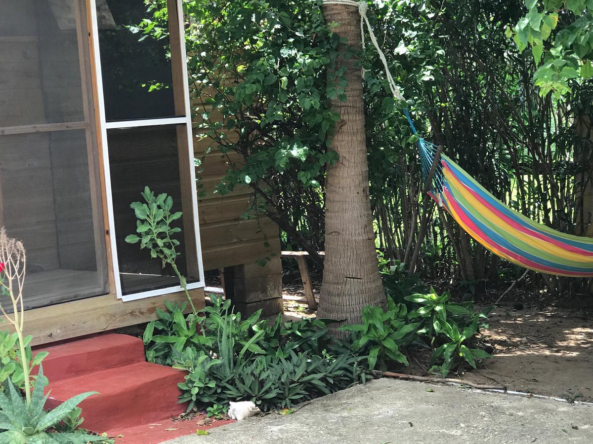 Moringa Ingadi Vila Treasure Beach Exterior foto